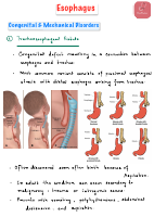 3. Esophagus.pdf